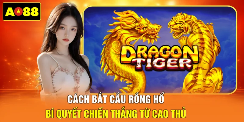 Cách bắt cầu Rồng Hổ